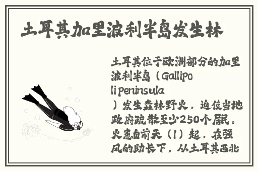 国产精品麻豆一区二区三区v视界
